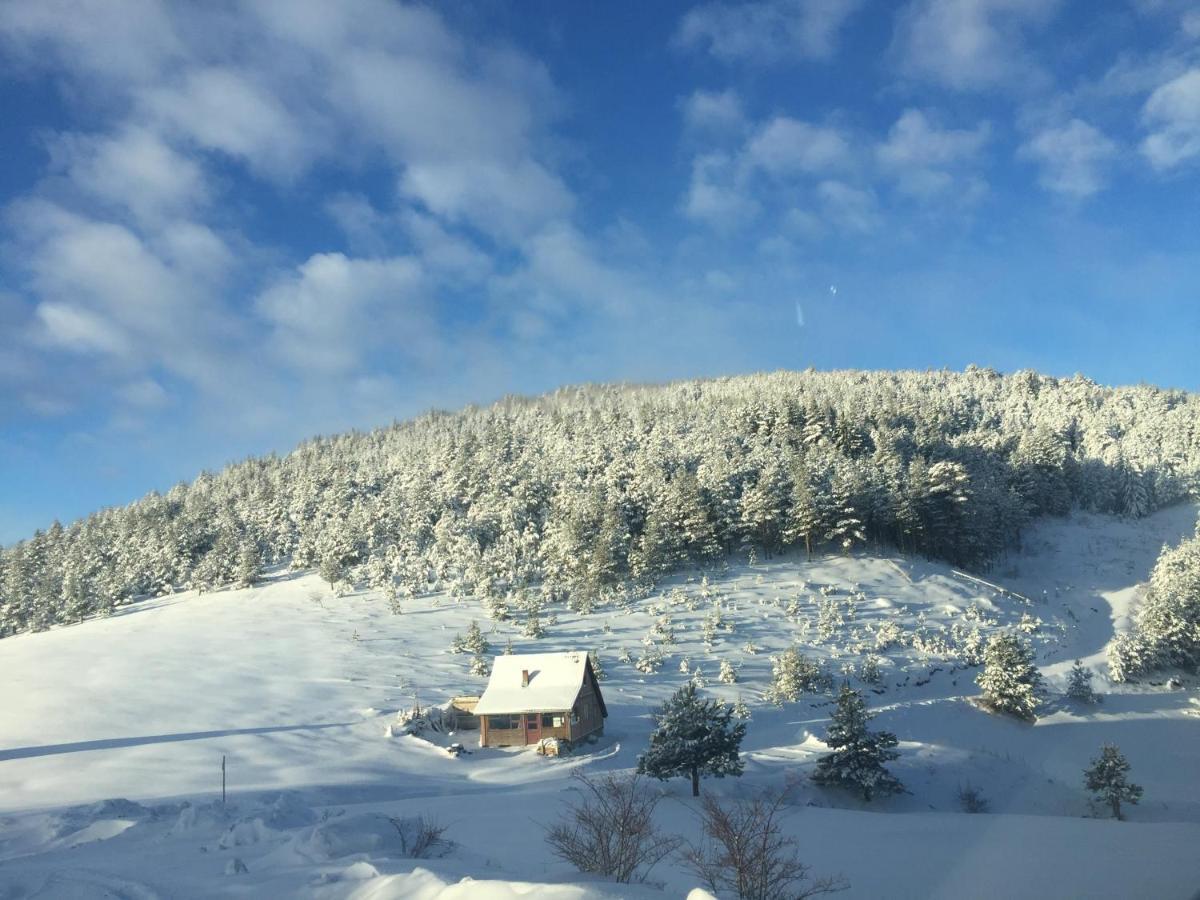 Konak 1400 Tara Mokra Gora Kültér fotó