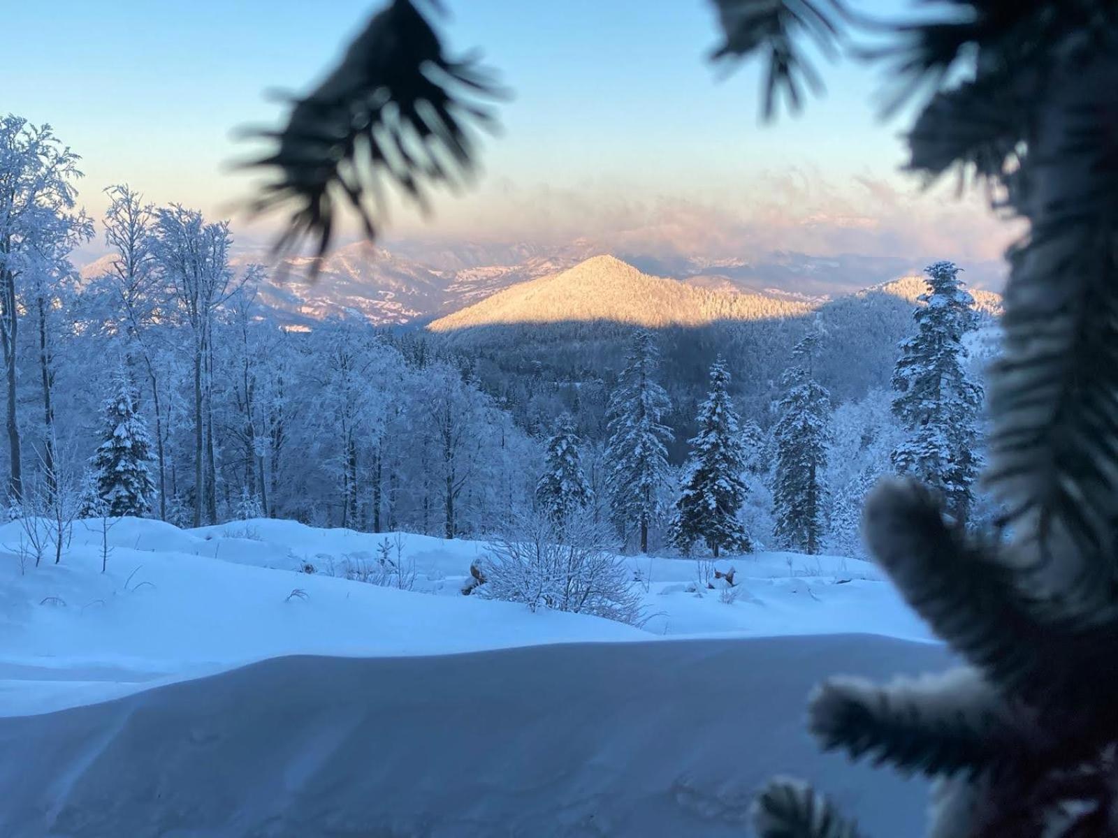 Konak 1400 Tara Mokra Gora Kültér fotó